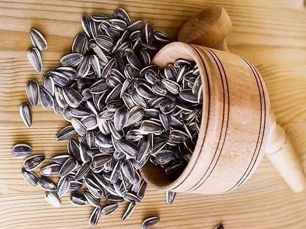 خرید تخمه دور سفید ایرانی با قیمت استثنایی