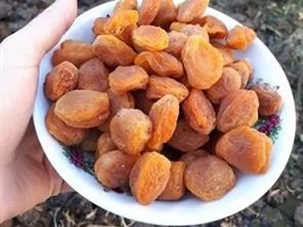 قیمت خرید زردآلو خشک باهسته + عکس